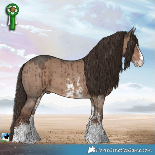 Horse Color:Liver Red Dun Sabino Brindle 