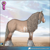 Horse Color:Red Dun Mushroom Sabino Rabicano