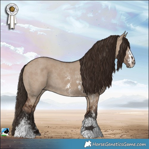Horse Color:Liver Red Dun Sabino Rabicano