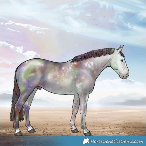 Horse Color:Nacre White Spotted Chocolate Brown Chinchilla Rabicano 