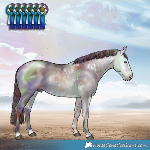 Horse Color:Nacre White Spotted Chocolate Brown Chinchilla Rabicano 