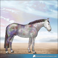 Horse Color:Nacre White Spotted Chocolate Brown Chinchilla Rabicano 