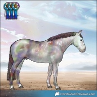 Horse Color:Nacre White Spotted Chocolate Brown Chinchilla Rabicano