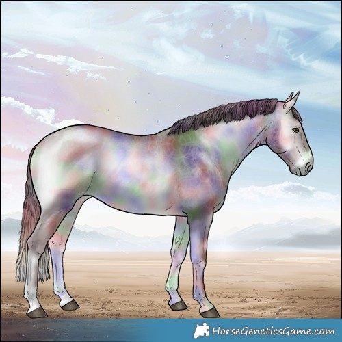 Horse Color:Nacre Chocolate Brown Chinchilla Onyx 