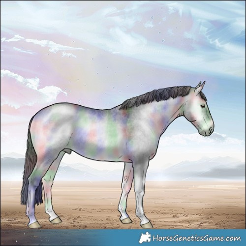 Horse Color:Nacre Brown Chinchilla Onyx 