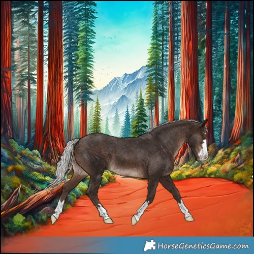 Horse Color:Silver Brown Mushroom Appaloosa 