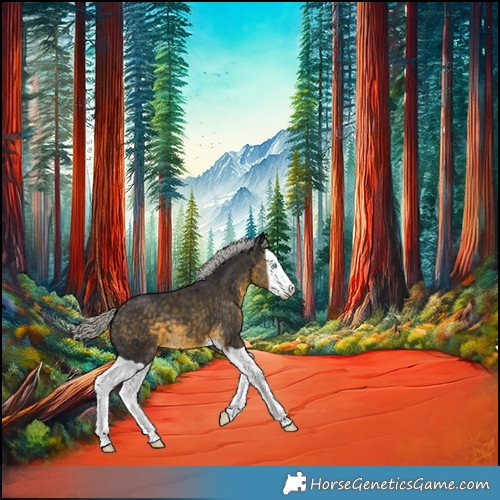 Horse Color:Silver Buckskin Splash Appaloosa 