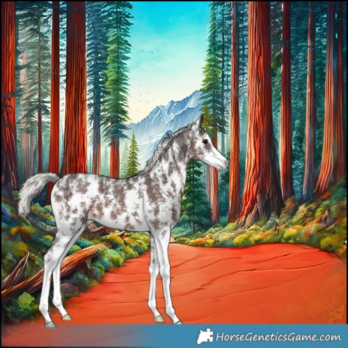Horse Color:Silver Brown Sabino 