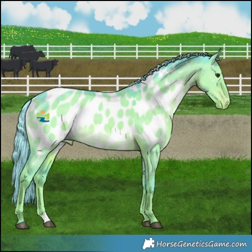 Horse Color:Watercolor Liver Red Dun Mushroom Appaloosa 