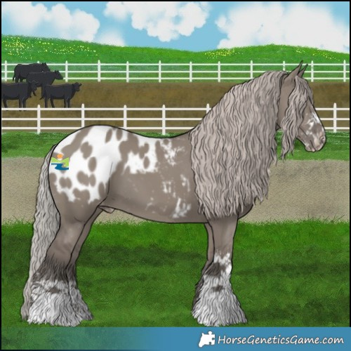 Horse Color:Silver Grullo Mushroom Sabino Appaloosa 