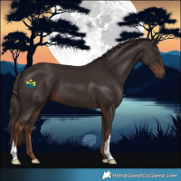 Horse Color:Liver Chestnut 