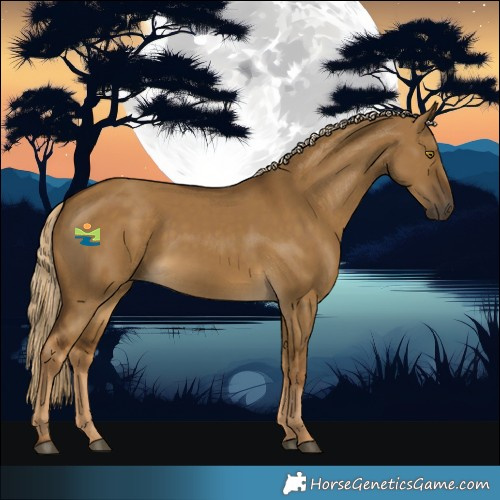 Horse Color:Chocolate Palomino Dun 