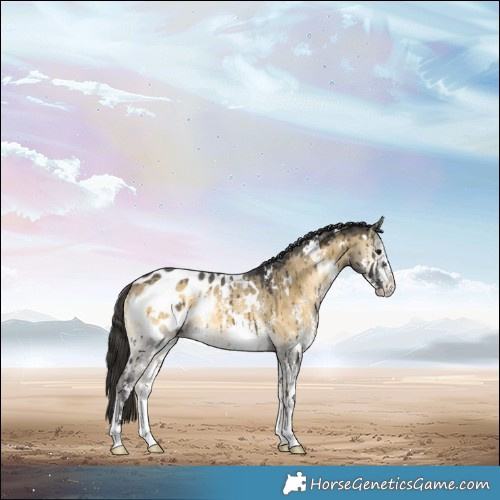 Horse Color:White Spotted Buckskin Onyx Sabino Appaloosa Rabicano Brindle 