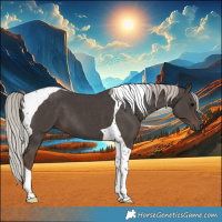 Horse Color:Silver Black Tobiano