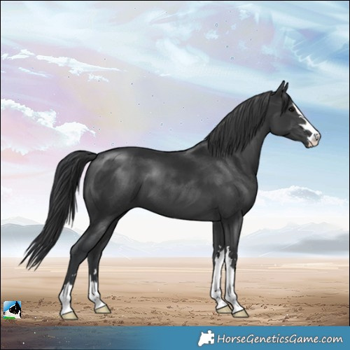 Horse Color:Black Mushroom