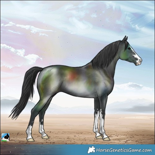 Horse Color:Black Mushroom 