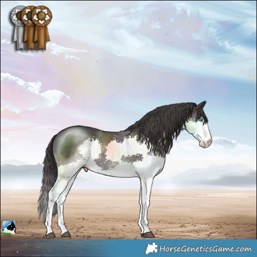 Horse Color:Smoky Black Mushroom Splash 