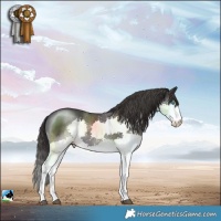 Horse Color:Smoky Black Mushroom Splash 
