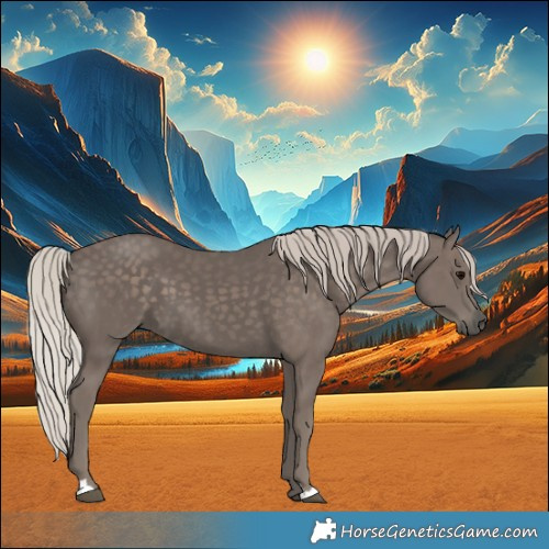 Horse Color:Silver Black 