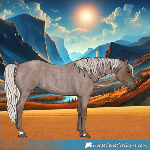 Horse Color:Silver Blue Roan 