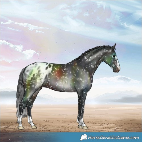 Horse Color:Brown Snowflake Varnish
