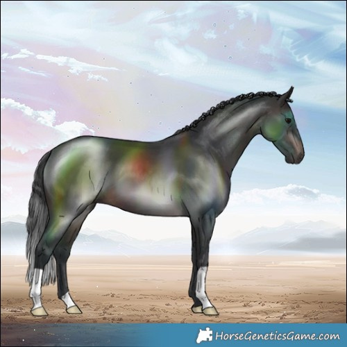 Horse Color:Brown 