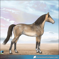 Horse Color:Buckskin Mushroom Rabicano