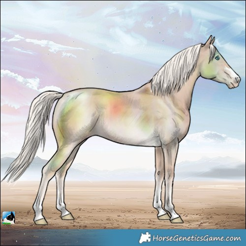 Horse Color:Cremello Mushroom Rabicano 