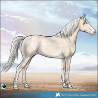 Horse Color:Cremello Mushroom Rabicano