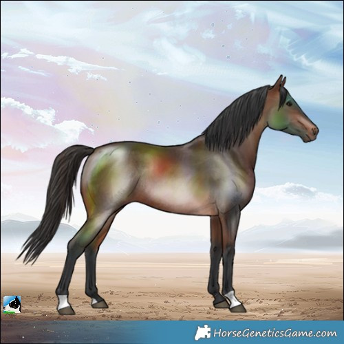 Horse Color:Brown Rabicano