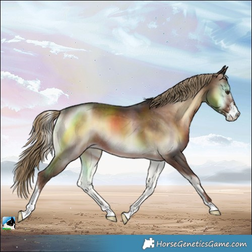 Horse Color:Liver Red Onyx Sabino Varnish Rabicano 