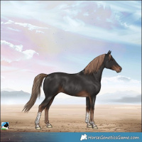Horse Color:Liver Chestnut Tobiano Rabicano