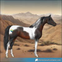 Horse Color:Brown Tobiano