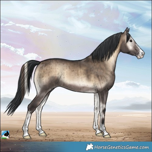 Horse Color:Brown Onyx Sabino Rabicano Brindle