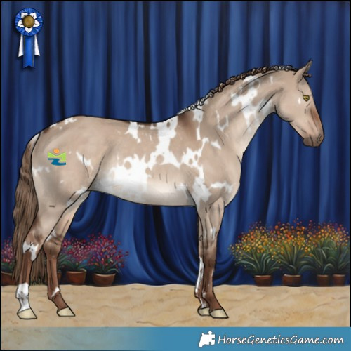 Horse Color:White Spotted Liver Red Dun Rabicano 