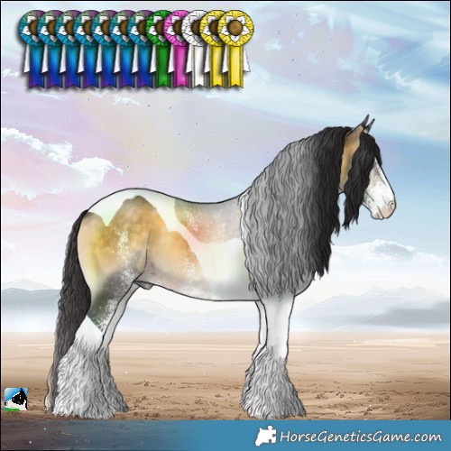 Horse Color:White Spotted Buckskin Onyx Tobiano Rabicano 