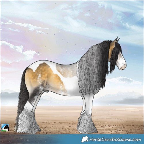 Horse Color:White Spotted Buckskin Onyx Tobiano Rabicano 