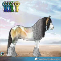 Horse Color:White Spotted Buckskin Onyx Tobiano Rabicano 