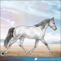 Horse Color:White Spotted Liver Red Roan Rabicano 
