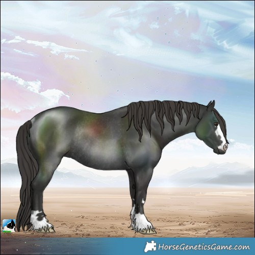 Horse Color:Platinum Liver Chestnut Rabicano 
