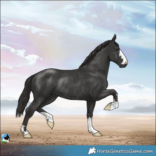 Horse Color:Platinum Liver Chestnut Rabicano