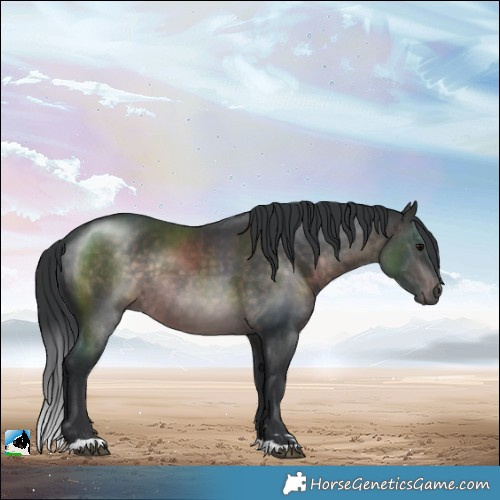 Horse Color:Platinum Brown Rabicano