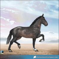 Horse Color:Platinum Brown Rabicano