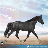 Horse Color:Platinum Liver Chestnut Rabicano