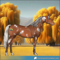 Horse Color:White Spotted Silver Bay Varnish 