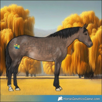 Horse Color:Brown Dun Rabicano 