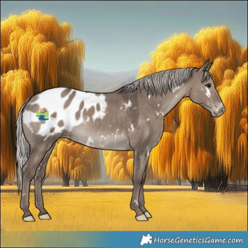Horse Color:White Spotted Silver Grullo Appaloosa Rabicano 