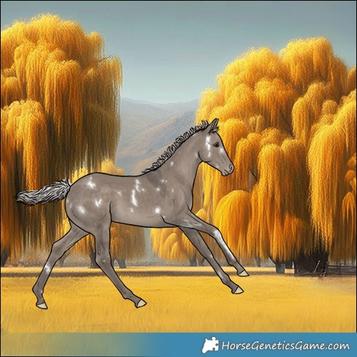 Horse Color:White Spotted Silver Grullo Appaloosa Rabicano 
