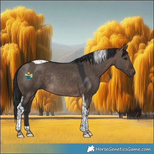 Horse Color:Brown Dun Tobiano Rabicano 