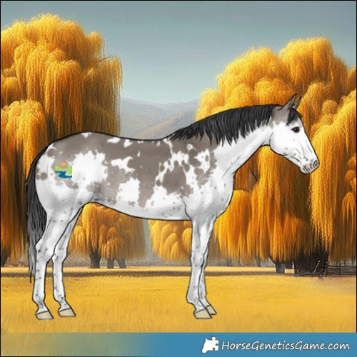Horse Color:White Spotted Grullo Splash 